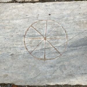 Meet your Posher, Natalia